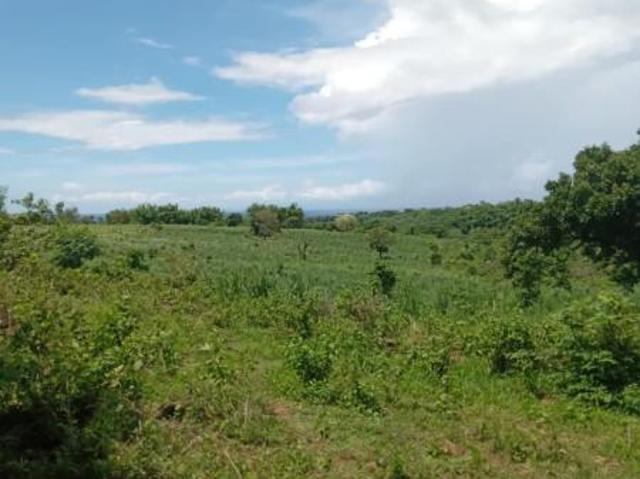 Residential Lot for sale in Zamboanguita