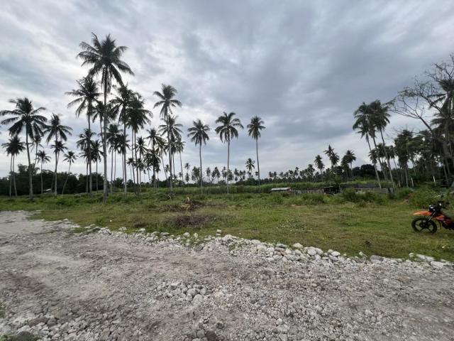 Residential Lot for sale in Zamboanguita