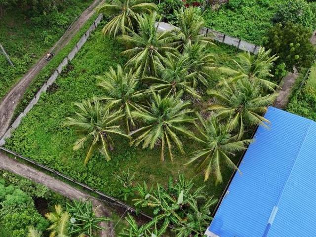 Residential Lot for sale in Zamboanguita
