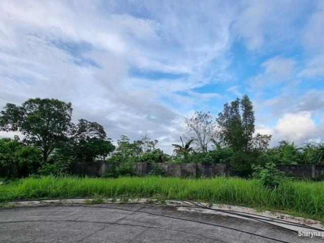Residential Lot in Campetic, Palo