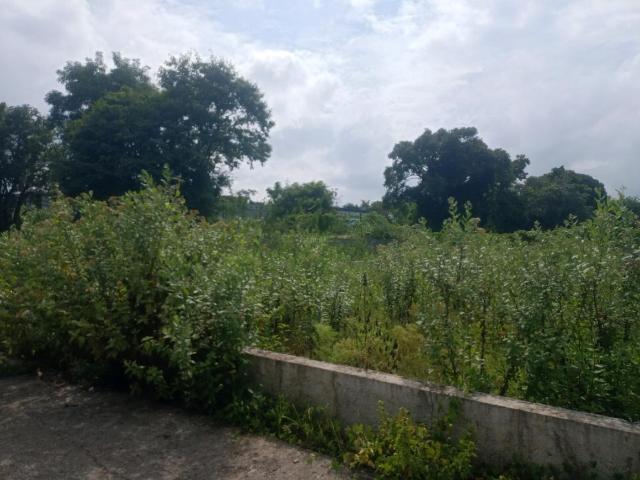 Residential Plot in Mugawade for resale Pune. The reference number is 21044654