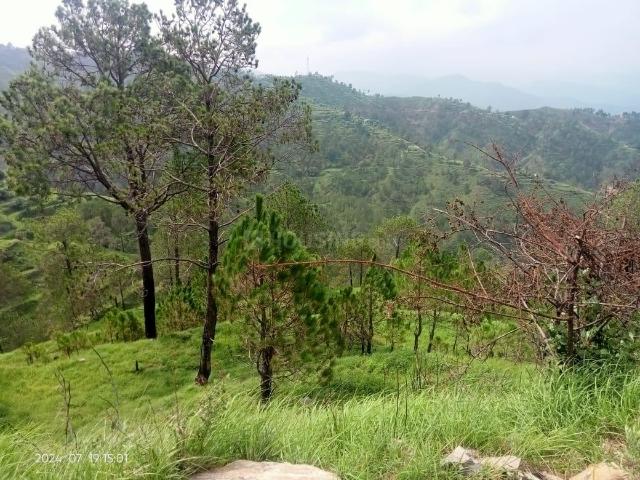 Residential Plot in Mukteshwar for resale Nainital. The reference number is 20531684