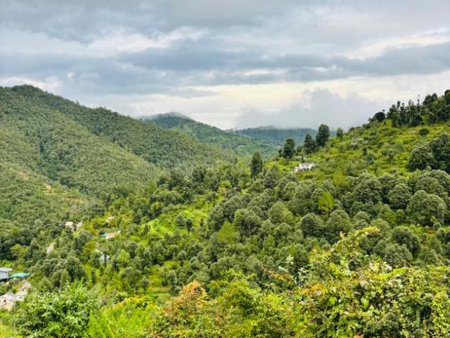 Residential Plot in Mukteshwar for resale Nainital. The reference number is 20815180