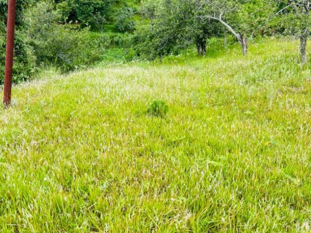 Residential Plot in Mukteshwar for resale Nainital. The reference number is 20815197