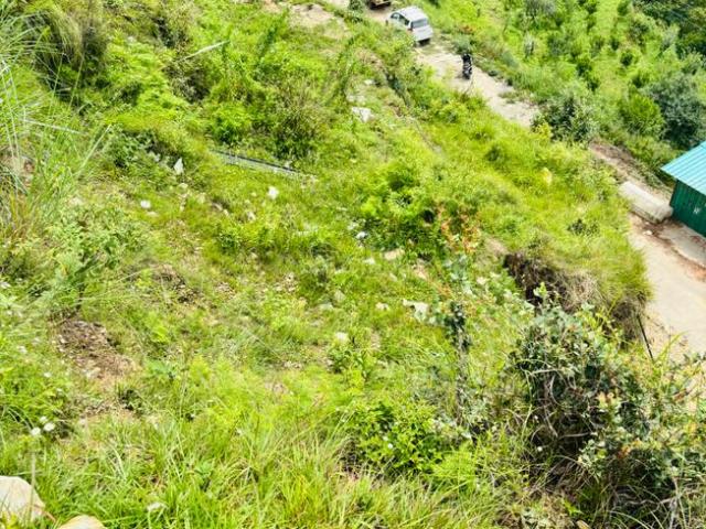 Residential Plot in Mukteshwar for resale Nainital. The reference number is 20815196