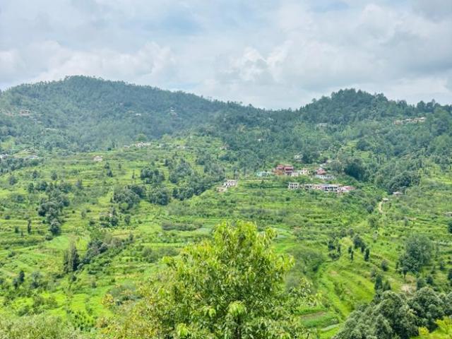Residential Plot in Mukteshwar for resale Nainital. The reference number is 20832401