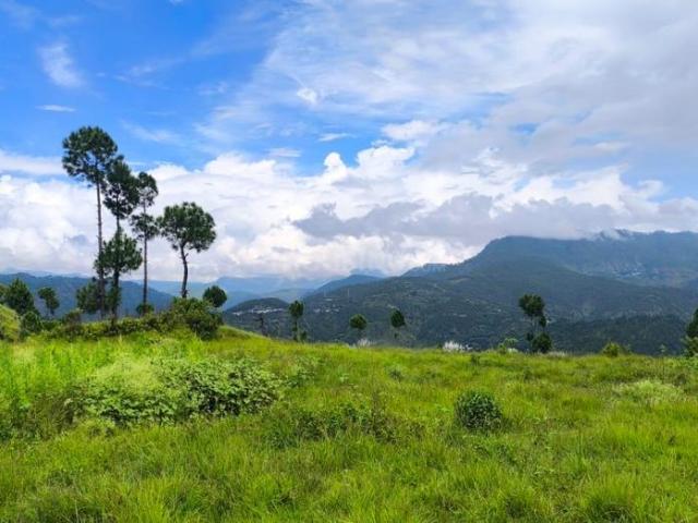 Residential Plot in Mukteshwar for resale Nainital. The reference number is 20973362