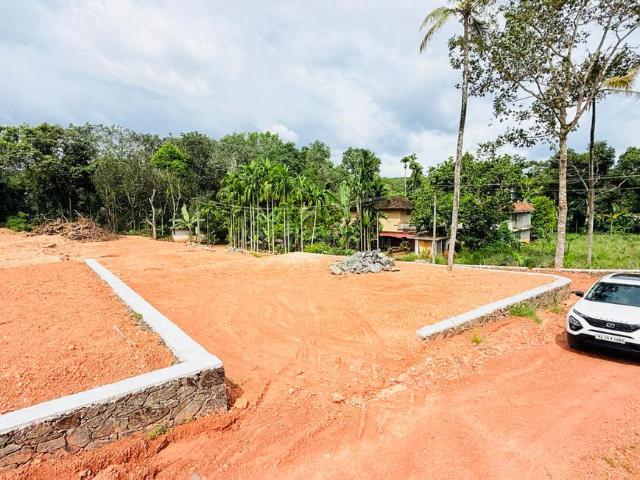 Residential Plot in Mulanthuruthy for resale Kochi. The reference number is 19814504