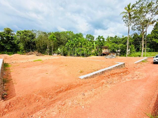 Residential Plot in Mulanthuruthy for resale Kochi. The reference number is 21322445