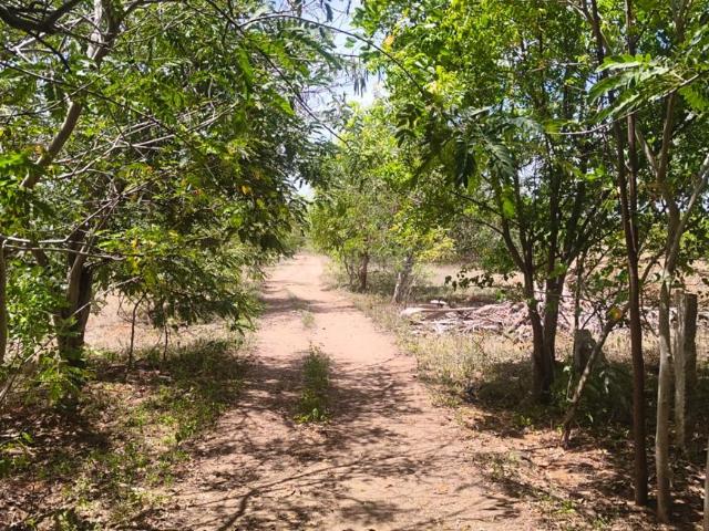 Residential Plot in Munnirpallam for resale Tirunelveli. The reference number is 20528719
