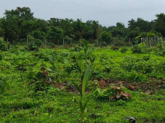 Residential Plot in Murbad for resale Thane. The reference number is 21089018