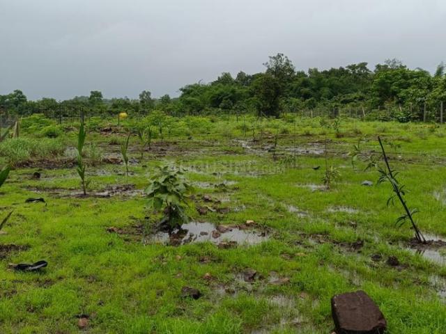 Residential Plot in Murbad for resale Thane. The reference number is 21089279