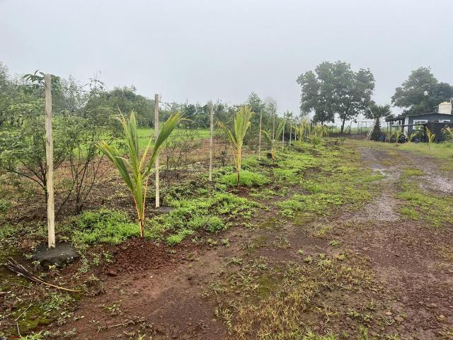 Residential Plot in Murbad for resale Thane. The reference number is 21089352