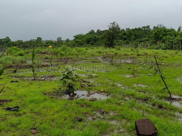 Residential Plot in Murbad for resale Thane. The reference number is 21233208