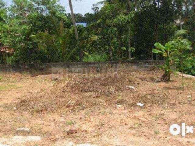 Residential Plot in Muthuvara for resale Thrissur. The reference number is 19844048