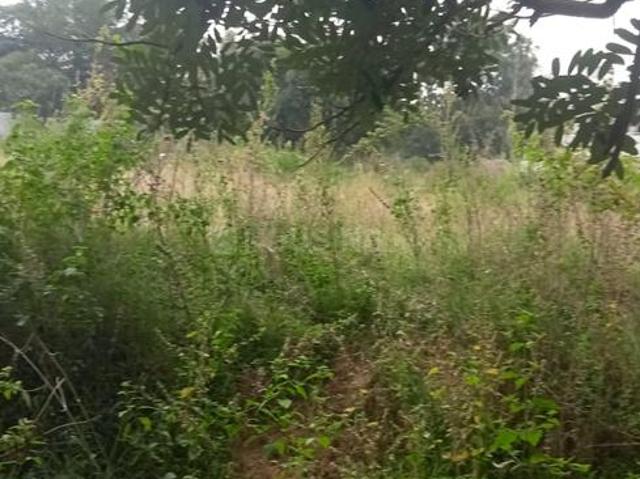Residential Plot in Mydanahalli for resale Mysore. The reference number is 20522889