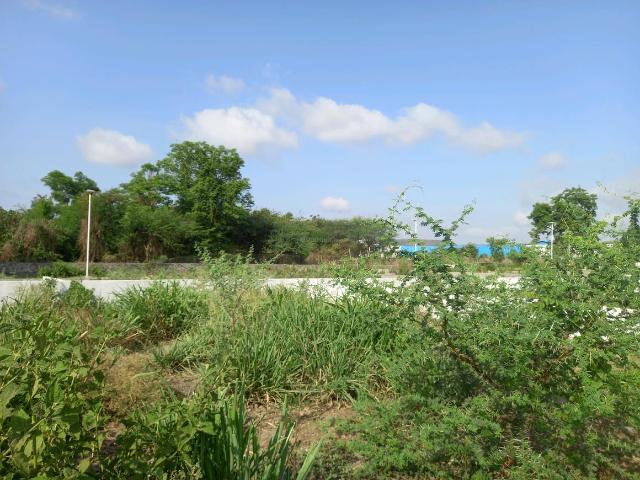 Residential Plot in Maan for resale Pune. The reference number is 20482000