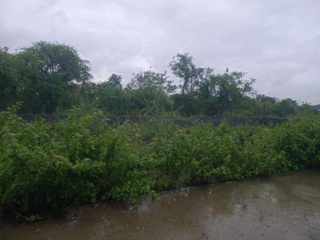 Residential Plot in Maan for resale Pune. The reference number is 20642131