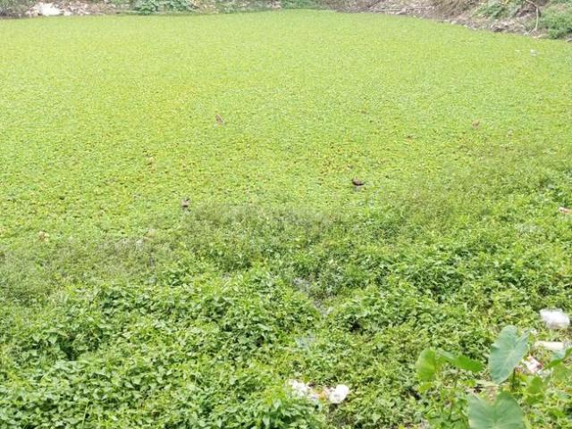Residential Plot in Madhyamgram for resale Kolkata. The reference number is 18968720