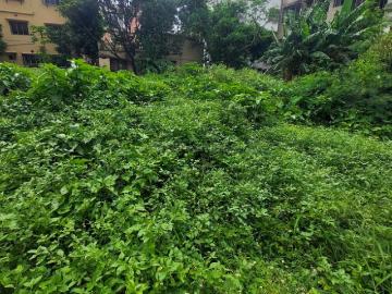 Residential Plot in Madurdaha for resale Kolkata. The reference number is 20472877