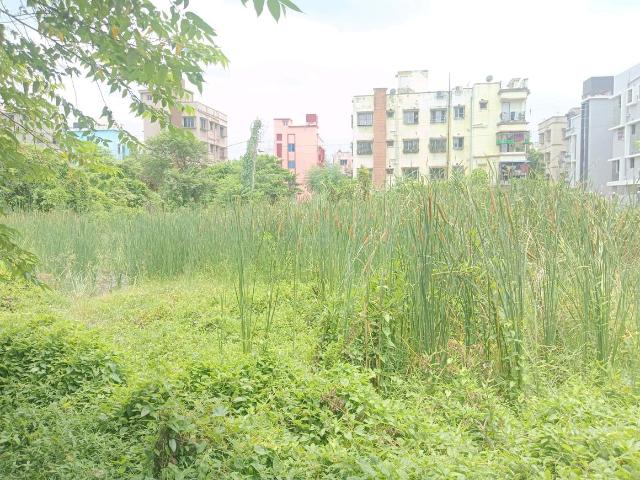 Residential Plot in Madurdaha for resale Kolkata. The reference number is 20343611