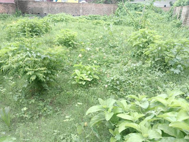 Residential Plot in Madurdaha for resale Kolkata. The reference number is 20343986