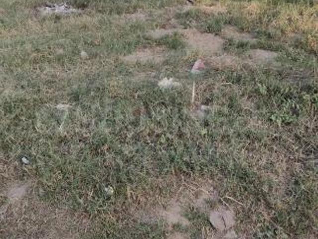 Residential Plot in Mahalakshmi Nagar for resale Indore. The reference number is 16516999