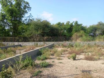 Residential Plot in Mahalunge for resale Pune. The reference number is 20481806