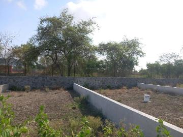 Residential Plot in Mahalunge for resale Pune. The reference number is 20481930