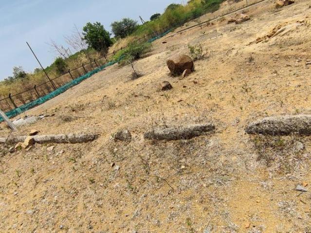 Residential Plot in Maheshwaram for resale Hyderabad. The reference number is 20891921
