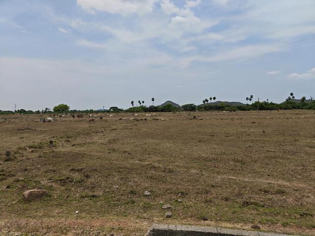 Residential Plot in Mahindra World City for resale Chennai. The reference number is 20026939