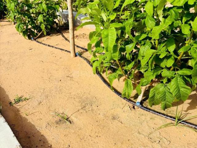 Residential Plot in Mahlan for resale Jaipur. The reference number is 20498757