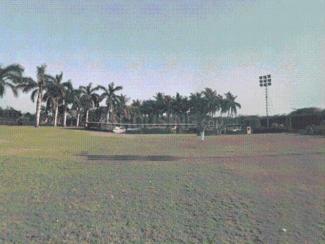 Residential Plot in Majura Gate for resale Surat. The reference number is 20266564