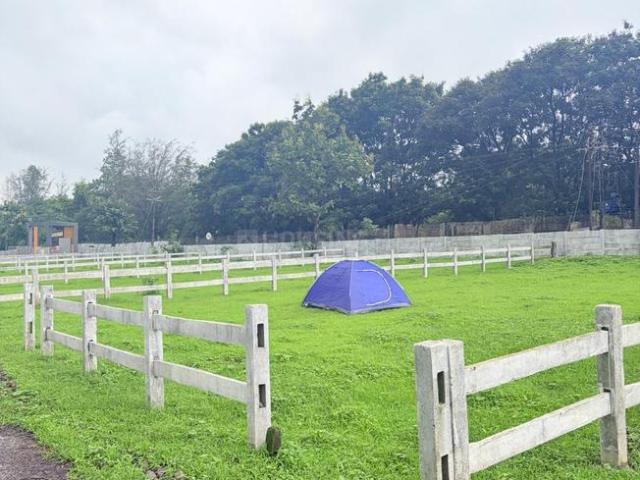 Residential Plot in Malegaon T. Waredi for resale Thane. The reference number is 20863131