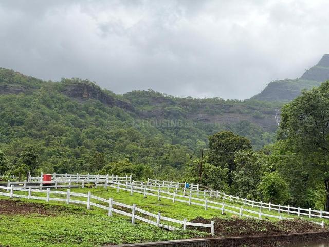 Residential Plot in Malegaon T. Waredi for resale Thane. The reference number is 20990288