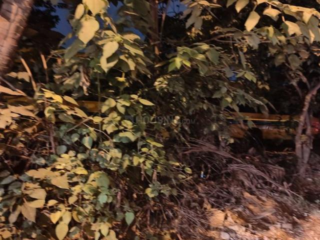 Residential Plot in Malleswaram for resale Bengaluru. The reference number is 12723516