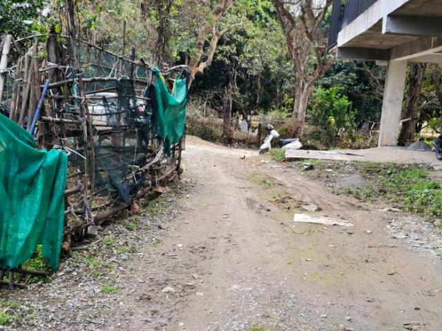 Residential Plot in Malsi for resale Dehradun. The reference number is 19579634