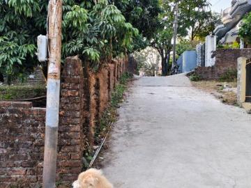 Dobhalwala, Dehradun, Dehradun District, Uttarakhand