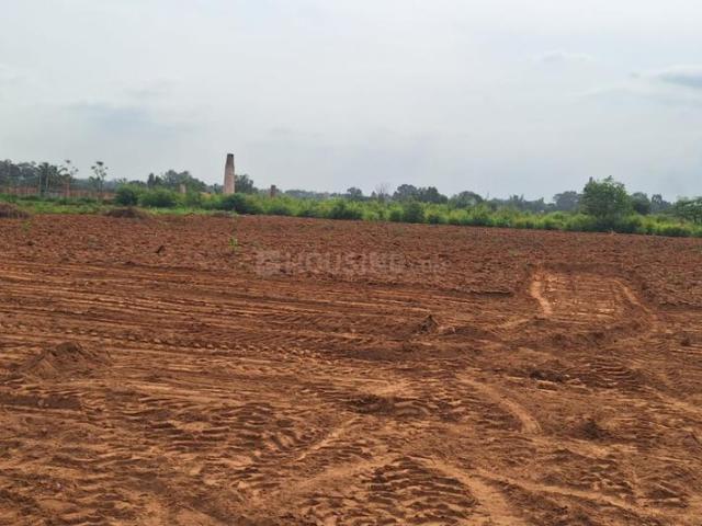 Residential Plot in Malur for resale Kolar. The reference number is 20994969