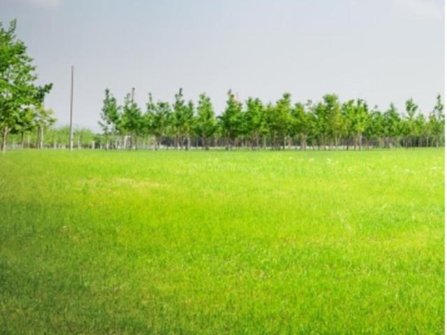 Residential Plot in Mamurdi for resale Pune. The reference number is 21180538