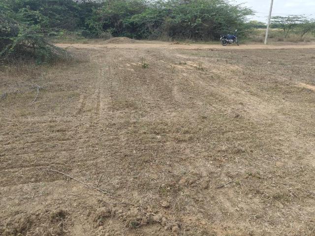 Residential Plot in Mannur for resale Chennai. The reference number is 19755768