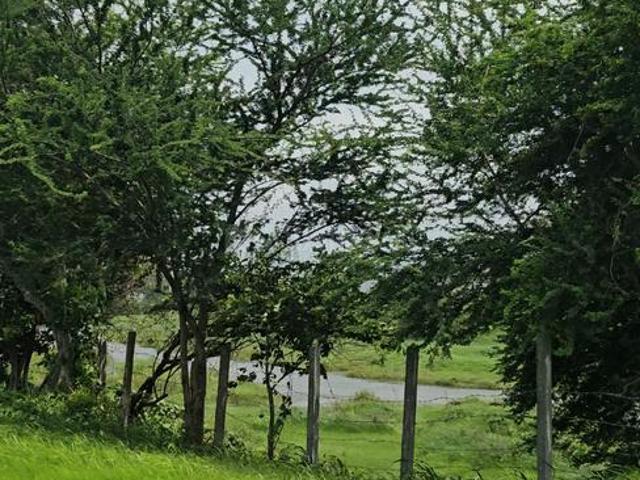 Residential Plot in Manor for resale Mumbai. The reference number is 18305774