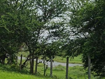 Takwahal, Thane District, Maharashtra