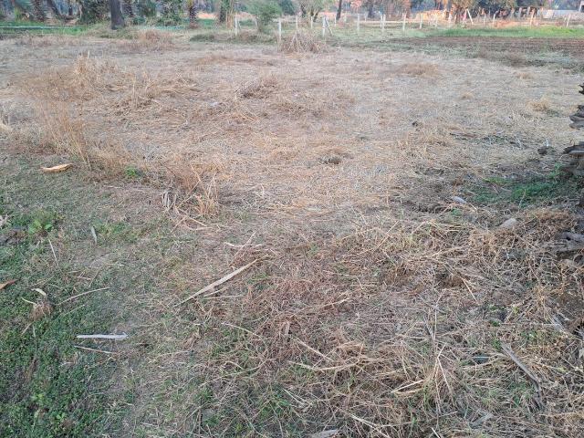 Residential Plot in Manori for resale Mumbai. The reference number is 11125576