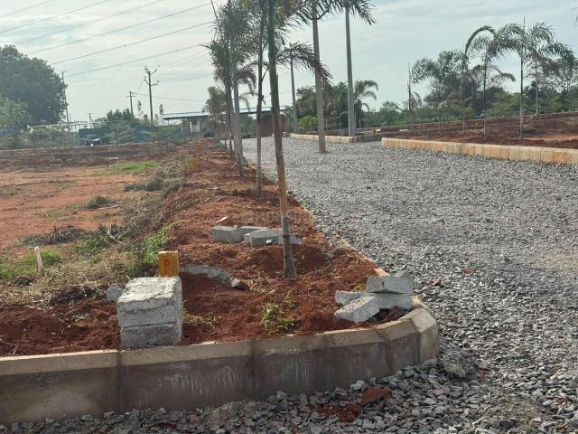 Residential Plot in Mangalpalle for resale Hyderabad. The reference number is 20632457