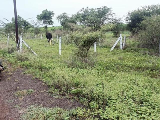 Residential Plot in Manjari Budruk for resale Pune. The reference number is 20734077