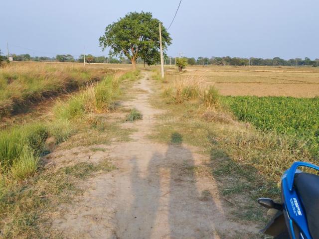 Residential Plot in Masaurhi for resale Patna. The reference number is 20274000