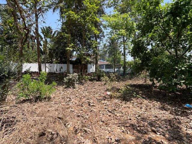 Residential Plot in Mapusa for resale Goa. The reference number is 20170111