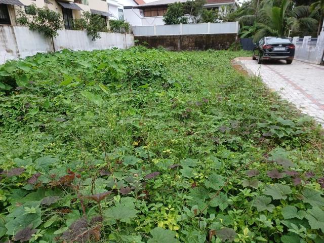 Residential Plot in Maradu for resale Kochi. The reference number is 19174502