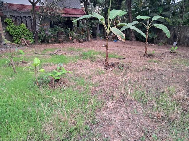 Residential Plot in Maradu for resale Kochi. The reference number is 19187433